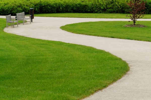 Cost of Concrete Walkway Installation in Bothell