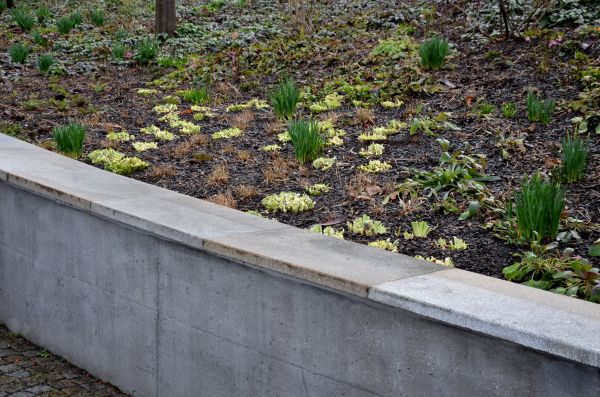 Cost of Concrete Wall Construction in Bothell