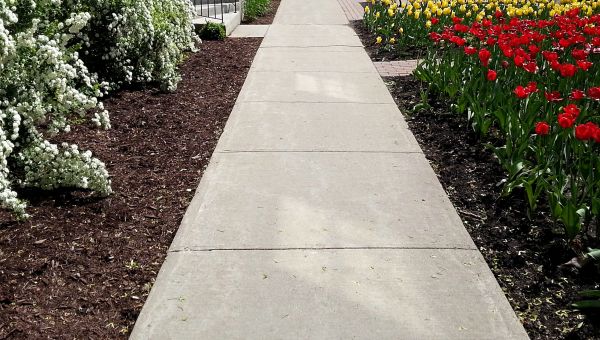 Cost of Sidewalk Slab Replacement in Bothell