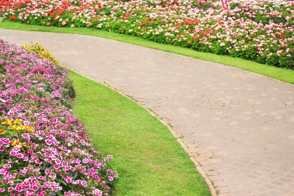 Cost of Concrete Walkway Service in Bothell